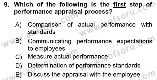 Human Resource Management Dersi 2024 - 2025 Yılı Yaz Okulu Sınav Soruları 9. Soru