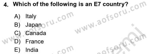 International Business Dersi 2021 - 2022 Yılı (Vize) Ara Sınav Soruları 4. Soru