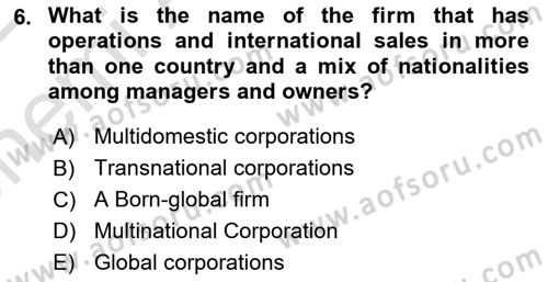 International Business Dersi 2021 - 2022 Yılı (Vize) Ara Sınav Soruları 6. Soru
