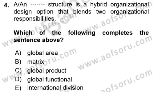 International Business Dersi 2021 - 2022 Yılı (Final) Dönem Sonu Sınav Soruları 4. Soru