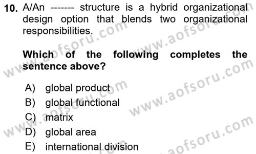 International Business Dersi 2021 - 2022 Yılı Yaz Okulu Sınav Soruları 10. Soru
