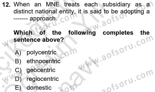 International Business Dersi 2021 - 2022 Yılı Yaz Okulu Sınav Soruları 12. Soru