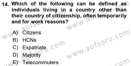 International Business Dersi 2021 - 2022 Yılı Yaz Okulu Sınav Soruları 14. Soru