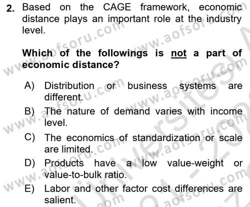 International Business Dersi 2021 - 2022 Yılı Yaz Okulu Sınav Soruları 2. Soru