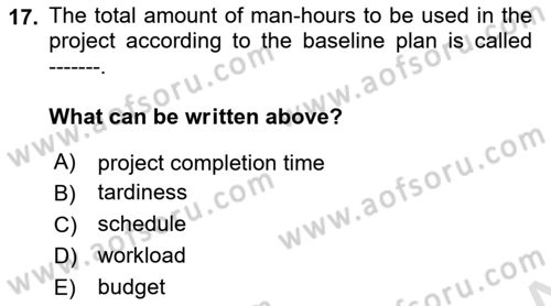 Project Management Dersi 2020 - 2021 Yılı Yaz Okulu Sınav Soruları 17. Soru