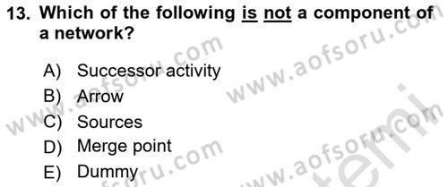 Project Management Dersi 2024 - 2025 Yılı (Vize) Ara Sınav Soruları 13. Soru