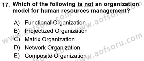 Project Management Dersi 2024 - 2025 Yılı (Vize) Ara Sınav Soruları 17. Soru