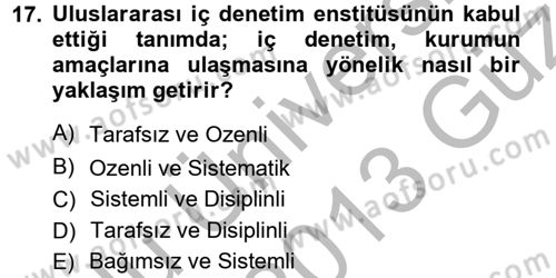 Denetim Dersi 2012 - 2013 Yılı (Vize) Ara Sınav Soruları 17. Soru