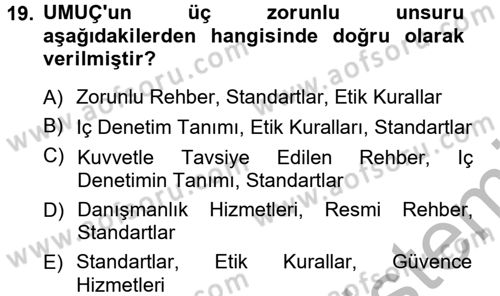 Denetim Dersi 2012 - 2013 Yılı (Vize) Ara Sınav Soruları 19. Soru