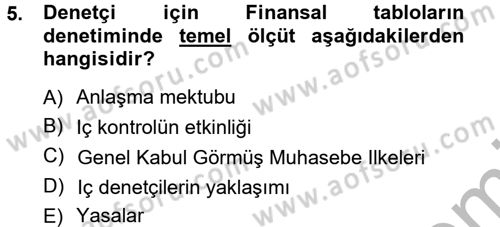 Denetim Dersi 2012 - 2013 Yılı (Vize) Ara Sınav Soruları 5. Soru