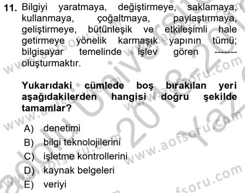 Denetim Dersi 2018 - 2019 Yılı Yaz Okulu Sınav Soruları 11. Soru