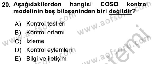 Denetim Dersi 2018 - 2019 Yılı Yaz Okulu Sınav Soruları 20. Soru