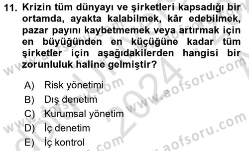 Denetim Dersi 2024 - 2025 Yılı (Vize) Ara Sınav Soruları 11. Soru