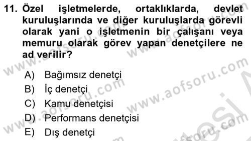 Denetim Dersi 2024 - 2025 Yılı Yaz Okulu Sınav Soruları 11. Soru