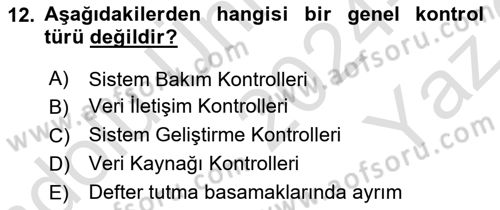 Denetim Dersi 2024 - 2025 Yılı Yaz Okulu Sınav Soruları 12. Soru