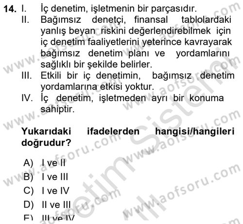 Denetim Dersi 2024 - 2025 Yılı Yaz Okulu Sınav Soruları 14. Soru