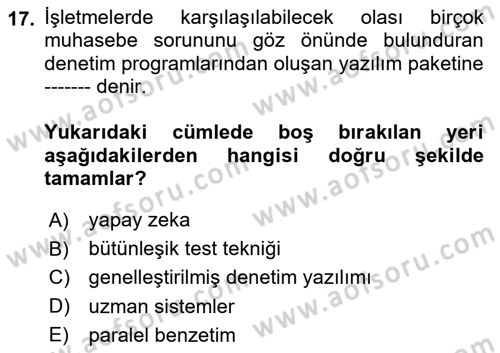 Denetim Dersi 2024 - 2025 Yılı Yaz Okulu Sınav Soruları 17. Soru