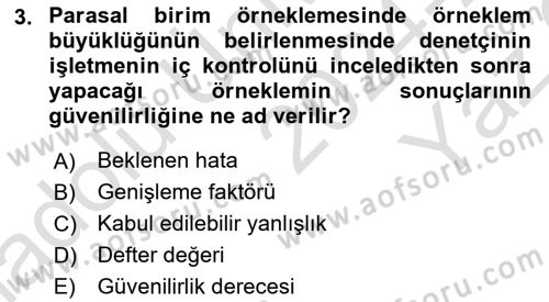 Denetim Dersi 2024 - 2025 Yılı Yaz Okulu Sınav Soruları 3. Soru