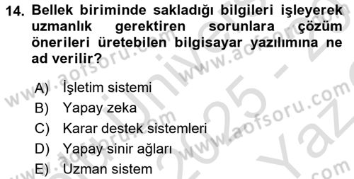 Denetim Dersi 2025 - 2026 Yılı Yaz Okulu Sınav Soruları 14. Soru
