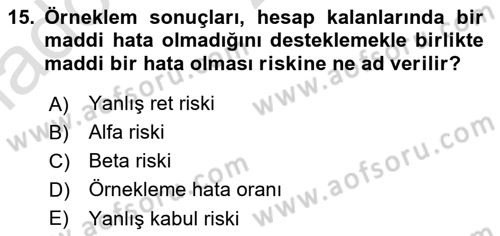 Denetim Dersi 2025 - 2026 Yılı Yaz Okulu Sınav Soruları 15. Soru