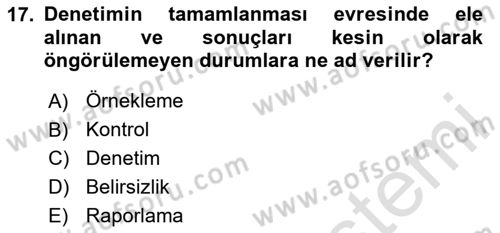 Denetim Dersi 2025 - 2026 Yılı Yaz Okulu Sınav Soruları 17. Soru