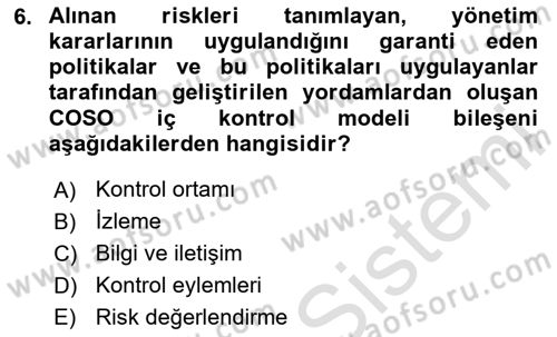 Denetim Dersi 2025 - 2026 Yılı Yaz Okulu Sınav Soruları 6. Soru