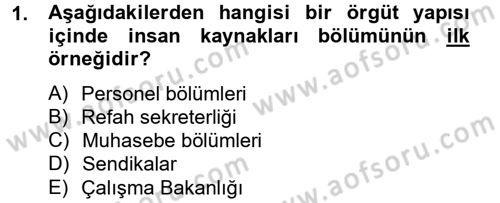 İnsan Kaynakları Yönetimi Dersi 2012 - 2013 Yılı (Vize) Ara Sınav Soruları 1. Soru