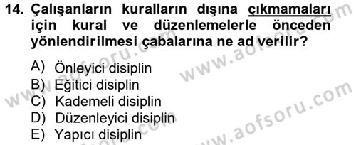 İnsan Kaynakları Yönetimi Dersi 2012 - 2013 Yılı (Final) Dönem Sonu Sınavı 14. Soru