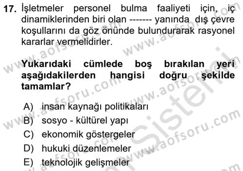 İnsan Kaynakları Yönetimi Dersi 2024 - 2025 Yılı (Vize) Ara Sınav Soruları 17. Soru