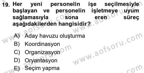 İnsan Kaynakları Yönetimi Dersi 2024 - 2025 Yılı (Vize) Ara Sınav Soruları 19. Soru