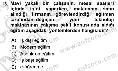 İnsan Kaynakları Yönetimi Dersi 2024 - 2025 Yılı (Final) Dönem Sonu Sınav Soruları 13. Soru