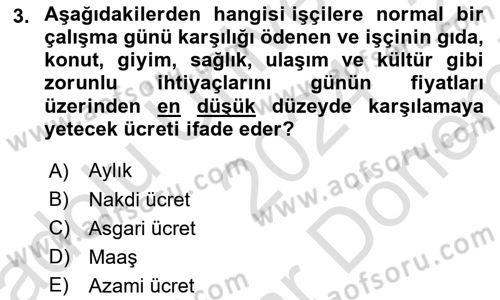 İnsan Kaynakları Yönetimi Dersi 2024 - 2025 Yılı (Final) Dönem Sonu Sınav Soruları 3. Soru