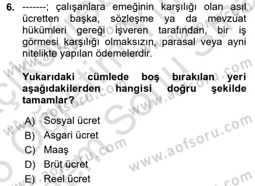 İnsan Kaynakları Yönetimi Dersi 2024 - 2025 Yılı (Final) Dönem Sonu Sınav Soruları 6. Soru