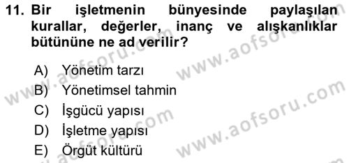İnsan Kaynakları Yönetimi Dersi 2024 - 2025 Yılı Yaz Okulu Sınav Soruları 11. Soru