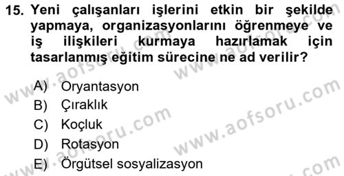 İnsan Kaynakları Yönetimi Dersi 2024 - 2025 Yılı Yaz Okulu Sınav Soruları 15. Soru