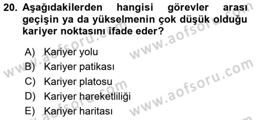 İnsan Kaynakları Yönetimi Dersi 2024 - 2025 Yılı Yaz Okulu Sınav Soruları 20. Soru