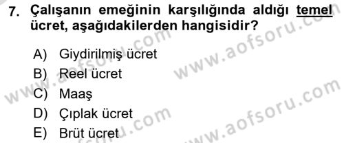 İnsan Kaynakları Yönetimi Dersi 2024 - 2025 Yılı Yaz Okulu Sınav Soruları 7. Soru