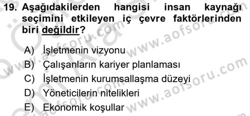 İnsan Kaynakları Yönetimi Dersi 2025 - 2026 Yılı (Vize) Ara Sınav Soruları 19. Soru