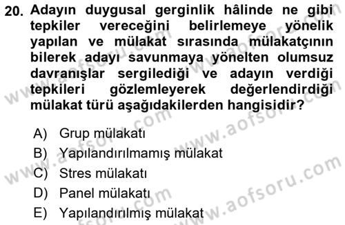 İnsan Kaynakları Yönetimi Dersi 2025 - 2026 Yılı (Vize) Ara Sınav Soruları 20. Soru