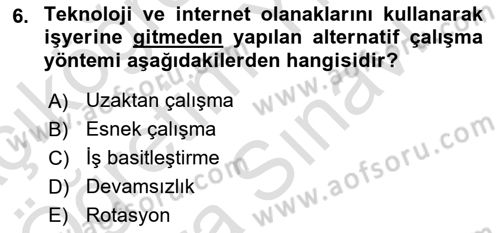 İnsan Kaynakları Yönetimi Dersi 2025 - 2026 Yılı (Vize) Ara Sınav Soruları 6. Soru