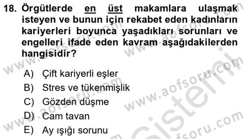 İnsan Kaynakları Yönetimi Dersi 2025 - 2026 Yılı (Final) Dönem Sonu Sınav Soruları 18. Soru
