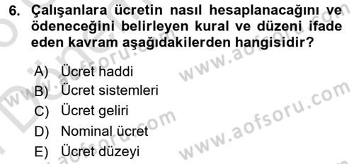 İnsan Kaynakları Yönetimi Dersi 2025 - 2026 Yılı (Final) Dönem Sonu Sınav Soruları 6. Soru
