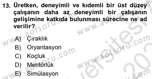 İnsan Kaynakları Yönetimi Dersi 2025 - 2026 Yılı Yaz Okulu Sınav Soruları 13. Soru