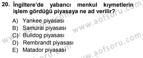 Sermaye Piyasaları ve Finansal Kurumlar Dersi 2012 - 2013 Yılı (Final) Dönem Sonu Sınavı 20. Soru