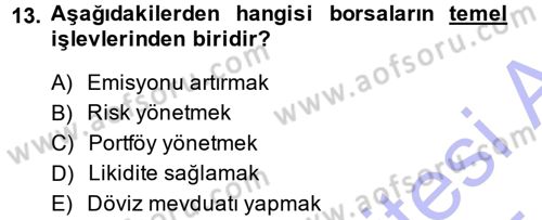 Sermaye Piyasaları ve Finansal Kurumlar Dersi 2014 - 2015 Yılı (Vize) Ara Sınavı 13. Soru