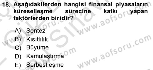 Sermaye Piyasaları ve Finansal Kurumlar Dersi 2021 - 2022 Yılı (Final) Dönem Sonu Sınavı 18. Soru