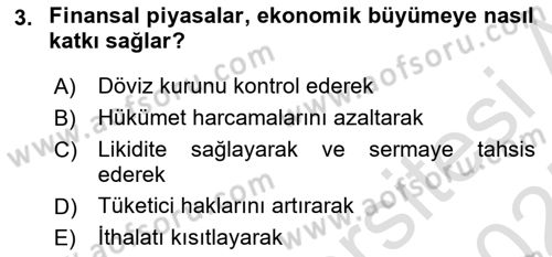 Sermaye Piyasaları ve Finansal Kurumlar Dersi 2024 - 2025 Yılı (Vize) Ara Sınav Soruları 3. Soru
