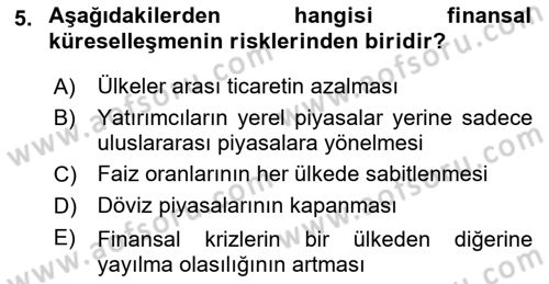 Sermaye Piyasaları ve Finansal Kurumlar Dersi 2024 - 2025 Yılı (Vize) Ara Sınav Soruları 5. Soru