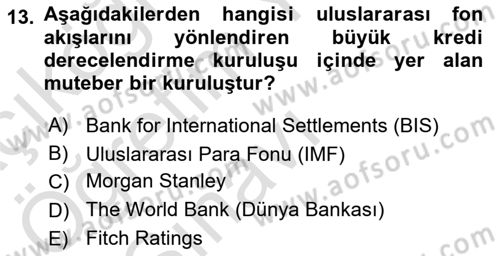 Sermaye Piyasaları ve Finansal Kurumlar Dersi 2025 - 2026 Yılı Yaz Okulu Sınav Soruları 13. Soru