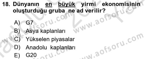 Sermaye Piyasaları ve Finansal Kurumlar Dersi 2025 - 2026 Yılı Yaz Okulu Sınav Soruları 18. Soru